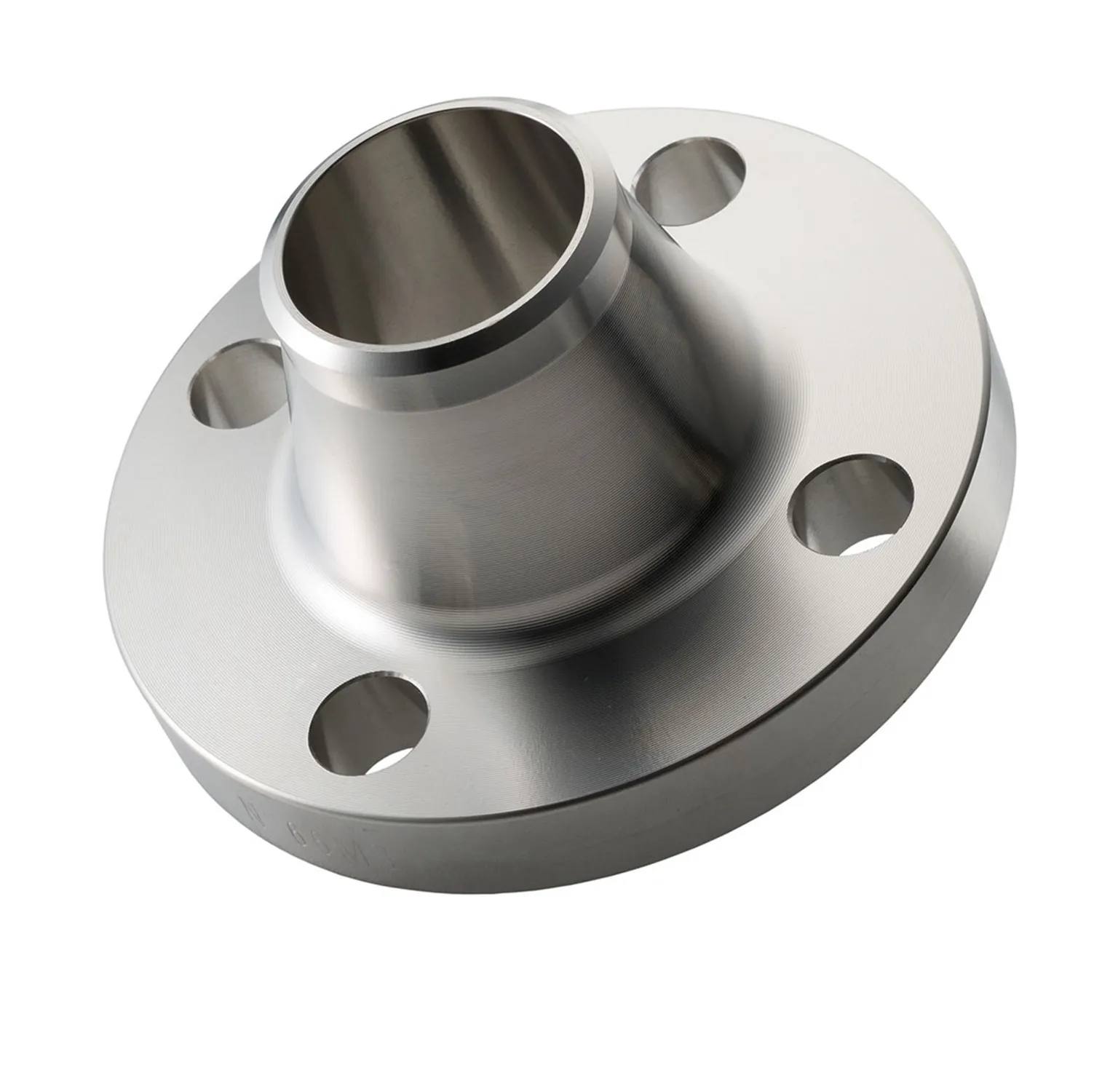 Stainless Steel Raised Face Weld Neck Flanges